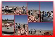 معدوم سازی 300کیلوگرم گوشت گوسفندی آلوده توقیفی در شهرستان طبس